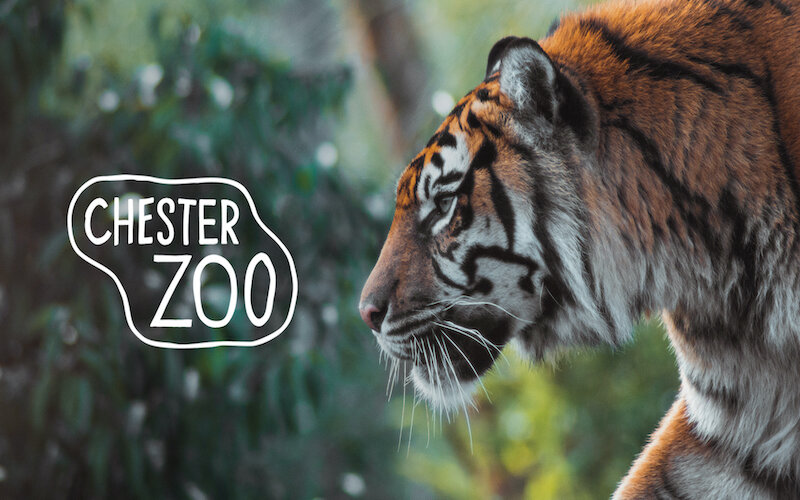 Image of School trip to Chester Zoo